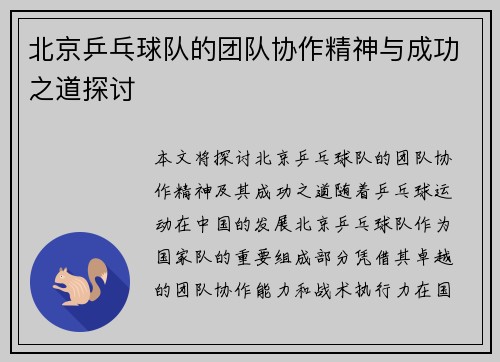 北京乒乓球队的团队协作精神与成功之道探讨