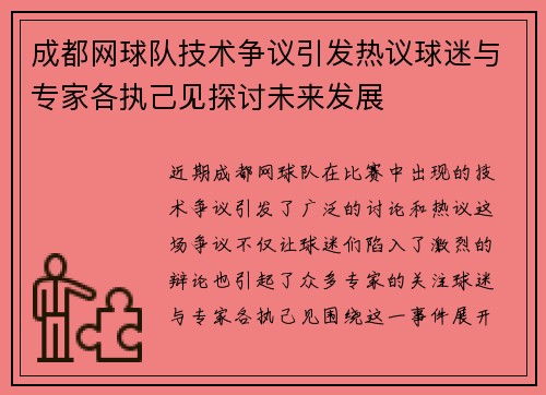 成都网球队技术争议引发热议球迷与专家各执己见探讨未来发展
